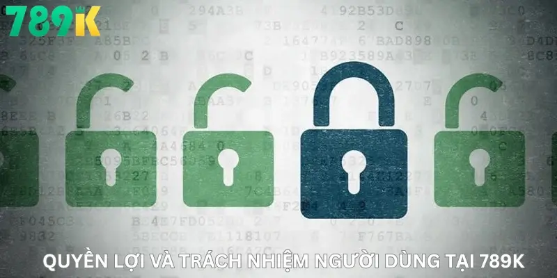 Quyền lợi và trách nhiệm người dùng tại 789K